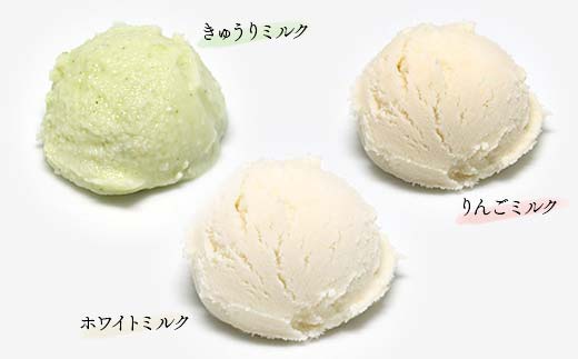 自然栽培農家のジェラート 12個セット ジェラート デザート スイーツ 菓子 食品 F7X-0363