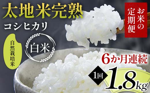 【先行予約】お米の定期便 自然栽培米 太地米完熟 【こしひかり】 白米1.8kg×6か月連続 ブランド米 お米 精米 白米 人気 F7X-0749