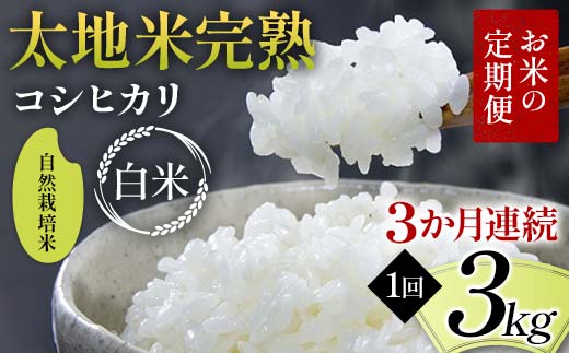 お米の定期便 自然栽培米 太地米完熟 【こしひかり】 白米3kg×3か月連続 ブランド米 お米 精米 白米 人気 F7X-0436
