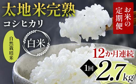 【先行予約】お米の定期便 自然栽培米 太地米完熟 【こしひかり】 白米2.7kg×12か月連続 ブランド米 お米 精米 白米 人気 F7X-0759