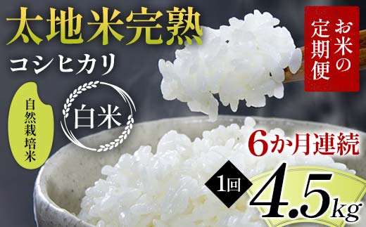 【先行予約】お米の定期便 自然栽培米 太地米完熟 【こしひかり】 白米4.5kg×6か月連続 ブランド米 お米 精米 白米 人気 F7X-0765