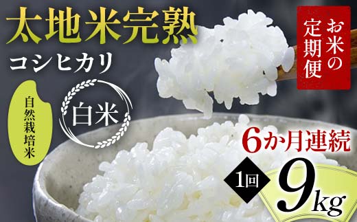 【先行予約】お米の定期便 自然栽培米 太地米完熟 【こしひかり】 白米9kg×6か月連続 ブランド米 お米 精米 白米 人気 F7X-0773