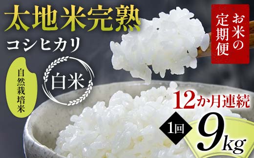【先行予約】お米の定期便 自然栽培米 太地米完熟 【こしひかり】 白米9kg×12か月連続 ブランド米 お米 精米 白米 人気 F7X-0775