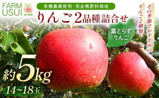 有機農薬使用・完全無肥料栽培「りんご2品種詰合せ」葉とらずりんご約5kg（14～18玉） F7X-0462