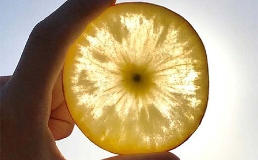 有機農薬使用・完全無肥料栽培「サン蜜こうとく」葉とらずりんご約3kg（11～12玉） F7X-0473
