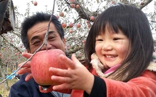 有機農薬使用・完全無肥料栽培「サン蜜こうとく」葉とらずりんご約3kg（11～12玉） F7X-0473