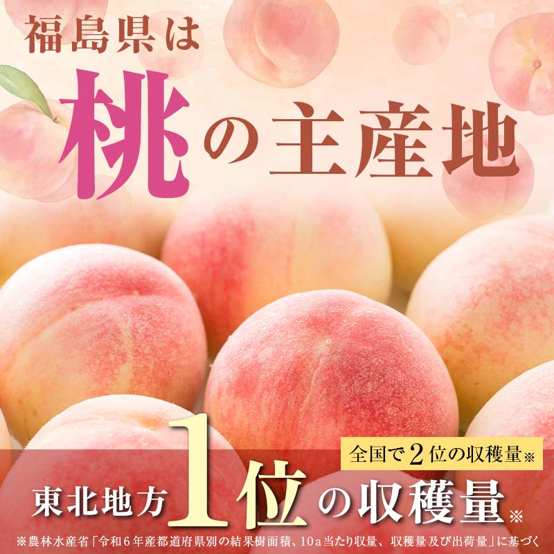 ＜先行受付＞ 嘉斎果樹園の桃「川中島白桃」約3kg（8～11個） もも モモ 桃 デザート フルーツ 果物 くだもの 果実 食品 F7X-0141