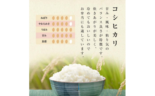【先行予約】お米の定期便 農薬不使用米 太地米完熟 【こしひかり】 玄米5kg×9か月連続 ブランド米 お米 人気 F7X-0738