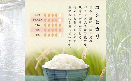 【先行予約】お米の定期便 自然栽培米 太地米完熟 【こしひかり】 玄米3kg×6か月連続 ブランド米 お米 人気 F7X-0761