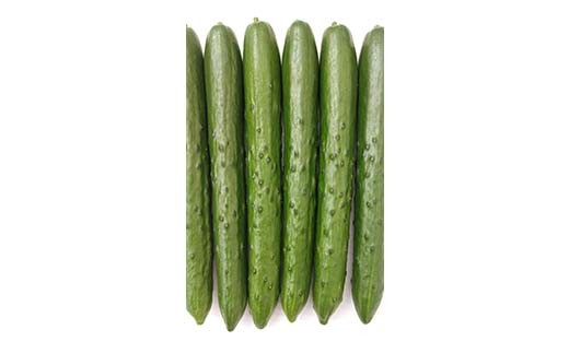 タクシー会社直送 パリッと歯ごたえ 岩瀬きゅうり1kg キュウリ 野菜 漬物 サラダ 福島県 須賀川市 F7X-0780