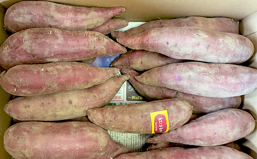 逕倥&蠑輔″蜃コ縺 辭滓千エ縺ッ繧九° 5kg 縺輔▽縺セ縺繧4ス朞繧オ繧、繧コ 繧オ繝繝槭う繝「 縺輔▽縺セ闃 逕倥> 縺翫d縺、 鬟溷刀 F7X-0791