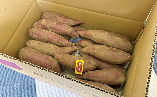 逕倥&蠑輔″蜃コ縺 辭滓千エ縺ッ繧九° 5kg 縺輔▽縺セ縺繧4ス朞繧オ繧、繧コ 繧オ繝繝槭う繝「 縺輔▽縺セ闃 逕倥> 縺翫d縺、 鬟溷刀 F7X-0791