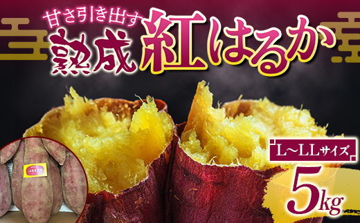 甘さ引き出す 熟成紅はるか 5kg さつまいも L～LLサイズ サツマイモ さつま芋 甘い おやつ 食品 F7X-0792