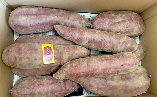 甘さ引き出す 熟成紅はるか 5kg さつまいも L～LLサイズ サツマイモ さつま芋 甘い おやつ 食品 F7X-0792