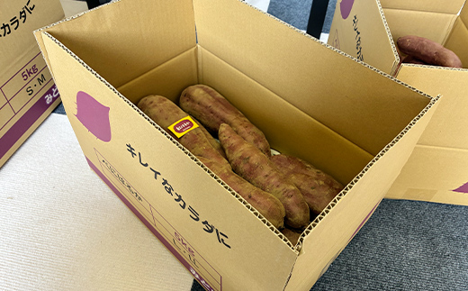 甘さ引き出す 熟成紅はるか 5kg さつまいも L～LLサイズ サツマイモ さつま芋 甘い おやつ 食品 F7X-0792