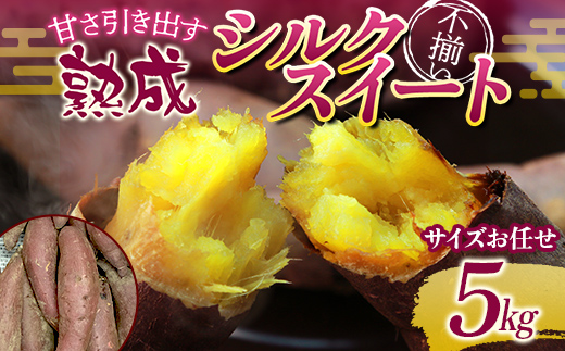 甘さ引き出す 不揃い 熟成シルクスイート 5kg さつまいも サイズお任せ サツマイモ さつま芋 甘い おやつ 食品 F7X-0793
