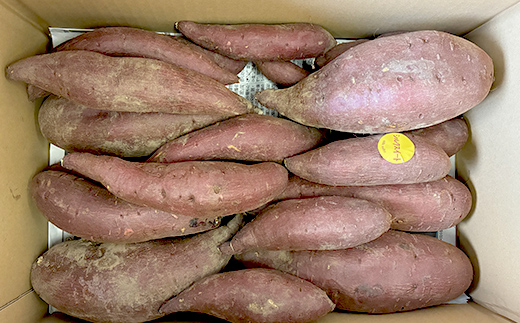 逕倥&蠑輔″蜃コ縺 荳肴純縺 辭滓舌す繝ォ繧ッ繧ケ繧、繝シ繝 5kg 縺輔▽縺セ縺繧 繧オ繧、繧コ縺贋ササ縺 繧オ繝繝槭う繝「 縺輔▽縺セ闃 逕倥> 縺翫d縺、 鬟溷刀 F7X-0793