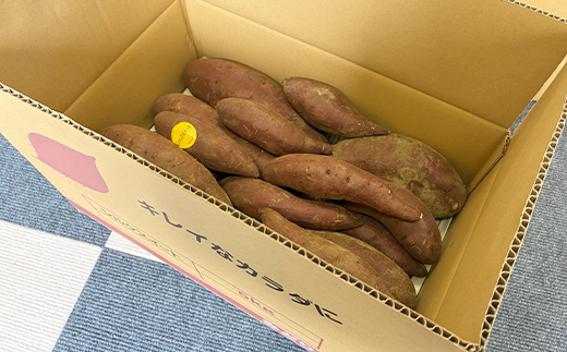 逕倥&蠑輔″蜃コ縺 荳肴純縺 辭滓舌す繝ォ繧ッ繧ケ繧、繝シ繝 5kg 縺輔▽縺セ縺繧 繧オ繧、繧コ縺贋ササ縺 繧オ繝繝槭う繝「 縺輔▽縺セ闃 逕倥> 縺翫d縺、 鬟溷刀 F7X-0793