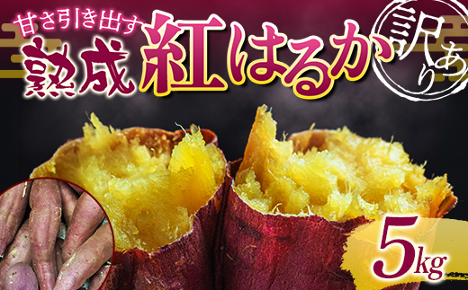 甘さ引き出す サイズ不揃い 熟成紅はるか 5kg さつまいも 訳アリ サツマイモ さつま芋 甘い おやつ 食品 F7X-0794