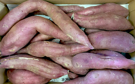 逕倥&蠑輔″蜃コ縺 繧オ繧、繧コ荳肴純縺 辭滓千エ縺ッ繧九° 5kg 縺輔▽縺セ縺繧 險ウ繧「繝ェ 繧オ繝繝槭う繝「 縺輔▽縺セ闃 逕倥> 縺翫d縺、 鬟溷刀 F7X-0794