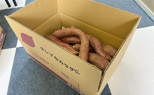 逕倥&蠑輔″蜃コ縺 繧オ繧、繧コ荳肴純縺 辭滓千エ縺ッ繧九° 5kg 縺輔▽縺セ縺繧 險ウ繧「繝ェ 繧オ繝繝槭う繝「 縺輔▽縺セ闃 逕倥> 縺翫d縺、 鬟溷刀 F7X-0794