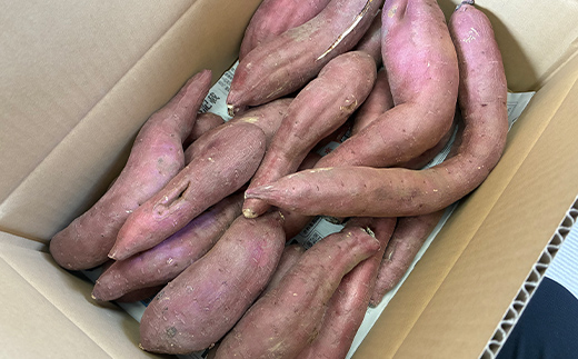 逕倥&蠑輔″蜃コ縺 繧オ繧、繧コ荳肴純縺 辭滓千エ縺ッ繧九° 5kg 縺輔▽縺セ縺繧 險ウ繧「繝ェ 繧オ繝繝槭う繝「 縺輔▽縺セ闃 逕倥> 縺翫d縺、 鬟溷刀 F7X-0794