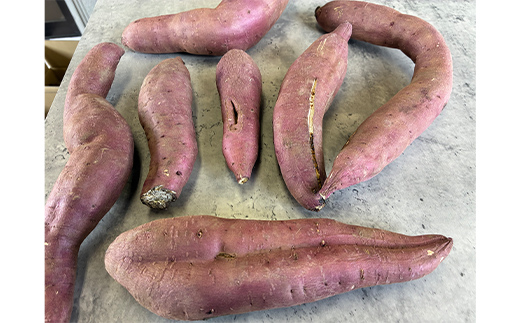 逕倥&蠑輔″蜃コ縺 繧オ繧、繧コ荳肴純縺 辭滓千エ縺ッ繧九° 5kg 縺輔▽縺セ縺繧 險ウ繧「繝ェ 繧オ繝繝槭う繝「 縺輔▽縺セ闃 逕倥> 縺翫d縺、 鬟溷刀 F7X-0794