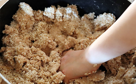 須賀川産コシヒカリ使用 初めての手造り味噌キット 出来上がり約2kg 米麹 大豆 みそ 調味料 食品 F7X-0797