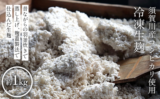 須賀川産コシヒカリ使用 冷凍生麹 約1kg 米麹 甘酒 塩麹 醤油麹 調味料作り 発酵食品 食品 F7X-0798