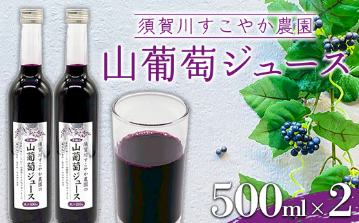 山葡萄 100％ 須賀川すこやか農園 山葡萄ジュース 500ml 2本 ブドウ ぶどう ジュース 飲み物 果汁飲料 飲料 F7X-0812