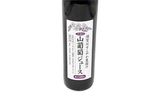 山葡萄 100％ 須賀川すこやか農園 山葡萄ジュース 500ml 2本 ブドウ ぶどう ジュース 飲み物 果汁飲料 飲料 F7X-0812