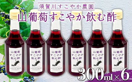 山ぶどうのさわやかな酸味 須賀川すこやか農園 山葡萄すこやか飲む酢 300ml 6本 ブドウ ぶどう 果実酢 フルーツビネガー ビネガー 食品 F7X-0813