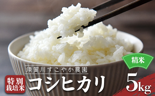 須賀川すこやか農園のコシヒカリ 精米 5kg 特別栽培米 コシヒカリ 米 お米 ブランド米 銘柄米 備蓄 日本米 こしひかり コメ ごはん ご飯 食品 F7X-0815