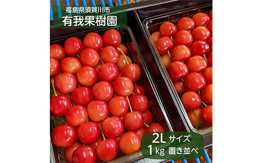 【贈答用】さくらんぼ 置き並べ 佐藤錦 紅秀峰 紅てまり どれか1品種 1kg 2Lサイズ ＜有我果樹園＞ さくらんぼ サクランボ チェリー デザート フルーツ 果物 くだもの 果実 食品 贈答用 F7X-0802
