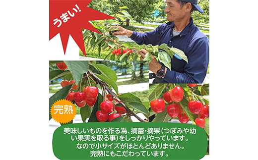 ãèŽççšããããã㌠眮ã䞊㹠äœè€éŠ çŽ
ç§å³° çŽ
ãŠãŸã ã©ãã1åçš® 1kg 2Lãµã€ãº ïŒææææš¹åïŒ ãããã㌠ãµã¯ã©ã³ã ãã§ãªãŒ ãã¶ãŒã ãã«ãŒã æç© ãã ãã® æå® é£å èŽççš F7X-0802