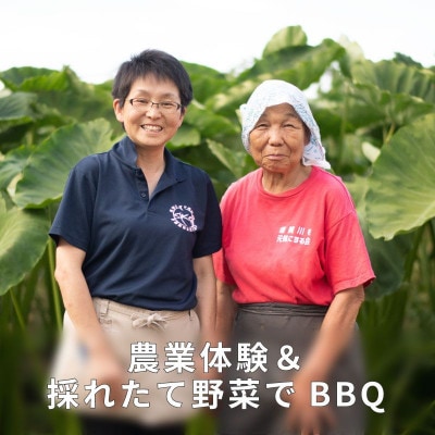 阿部農縁の採れたて野菜でBBQ!農業体験と野菜たっぷりバーベキュープラン　2名様【1363757】