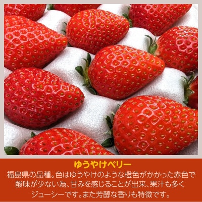 いちご 【アグリハウス秋山】 食べ比べ「ゆうやけベリー」「とちおとめ」 各12〜15個【配送不可地域：離島・沖縄県】【1554892】