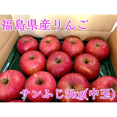 福島県のりんご　蜜入りリンゴサンふじ　中玉3kg(8〜14玉)【1401280】