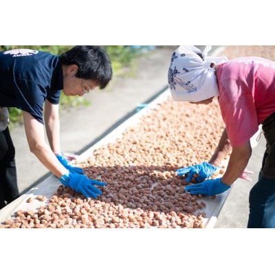 阿部農縁の採れたて野菜でBBQ!農業体験と野菜たっぷりバーベキュープラン　2名様【1363757】