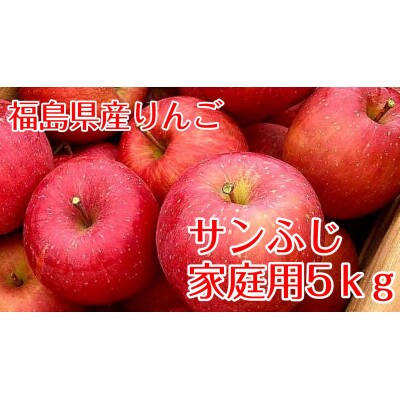 【訳あり家庭用りんご】福島県のリンゴ　サンふじ5kg(16〜22玉)【1362093】