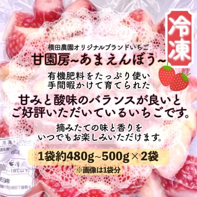 冷凍いちご「甘園房~あまえんぼう~」  約1kg(約500g×2袋)【配送不可地域：離島】【1288303】