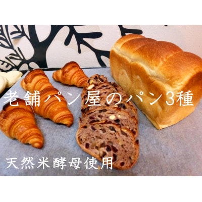 丸十製パン　もっちり食パン＆素材にこだった手作りクロワッサン＆具材ぎっしり贅沢カンパーニュ【配送不可地域：離島・北海道・沖縄県・信越、北陸・東海・近畿・中国・四国・九州】【1290052】