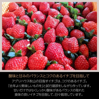 【アグリハウス秋山】 とちおとめ デラックス3L〜4L 大玉 24〜30粒【配送不可地域：離島・沖縄県】【1477696】