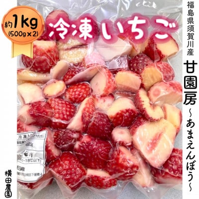 冷凍いちご「甘園房~あまえんぼう~」  約1kg(約500g×2袋)【配送不可地域：離島】【1288303】