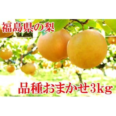 阿部農縁　福島県の和梨　品種おまかせ　旬のなし3kg(8〜11玉)　ギフト・贈答用【配送不可地域：離島】【1293260】