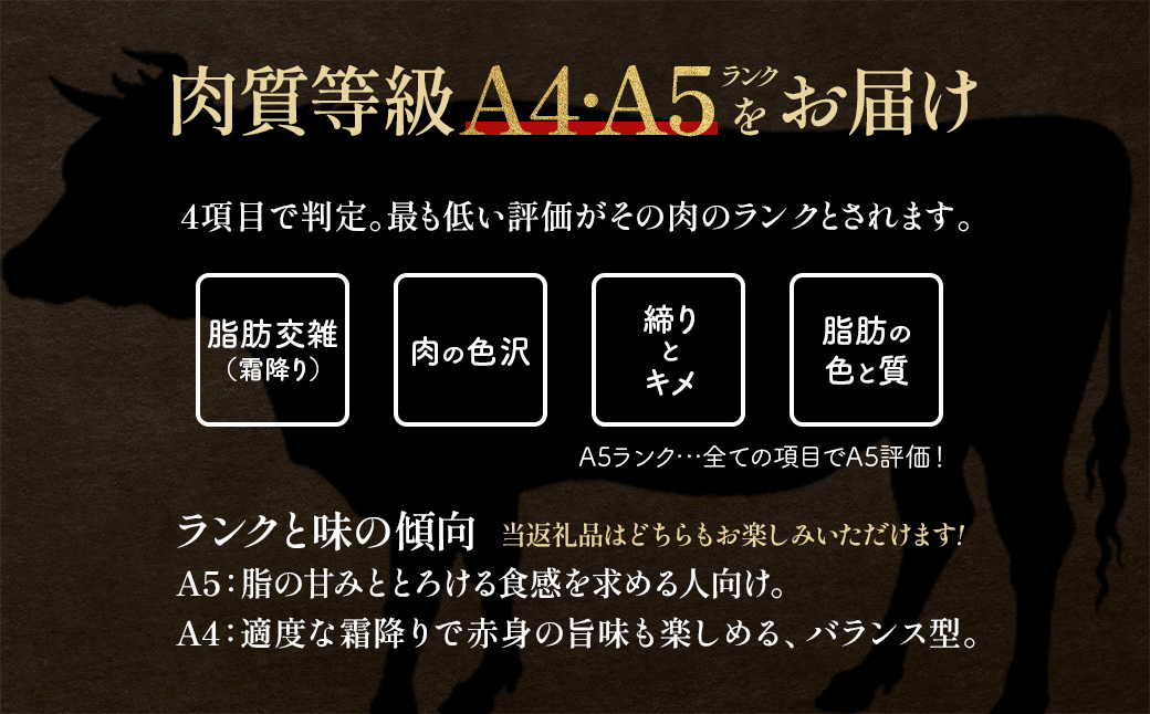 牛肉　サーロイン　200ｇ×３枚　定期便６か月　計3,600ｇ　会津喜多方産　黒毛和牛　会津牛　ギフト　お土産　ステーキ【07208-0295-C】