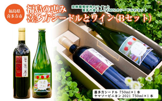 福島の恵み　喜多方シードルとワイン（Bセット）　シードル　ヤマソービニヨン　750ｍｌ　各１本　計２本　ギフト　お土産【07208-0100】