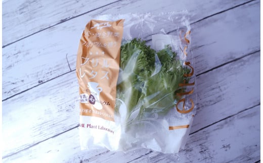 ã«ã«ã·ãŠã &ããªãã§ããŒã«ãªããã¬ã¿ã¹MixïŒ10è¢ã»ããïŒãã07208-0091ã