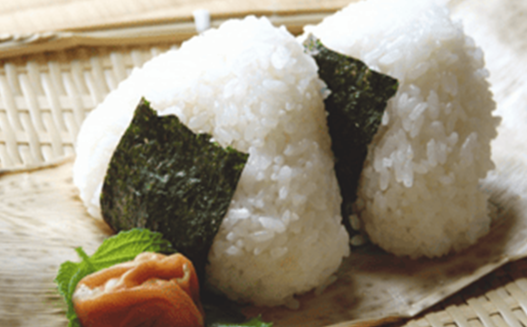 【令和8年産先行予約！】特別栽培米コシヒカリ　白米　5kg　6か月定期便(計30kg)　[米・食味分析鑑定コンクール国際大会 特別優秀賞受賞]　【07208-0811】