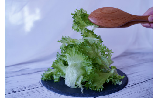 ã«ã«ã·ãŠã &ããªãã§ããŒã«ãªããã¬ã¿ã¹MixïŒ10è¢ã»ããïŒãã07208-0091ã